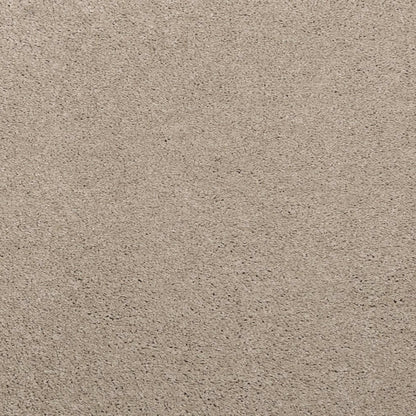 Noble Surface
