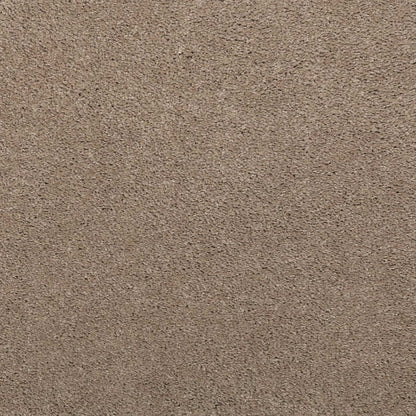 Noble Surface