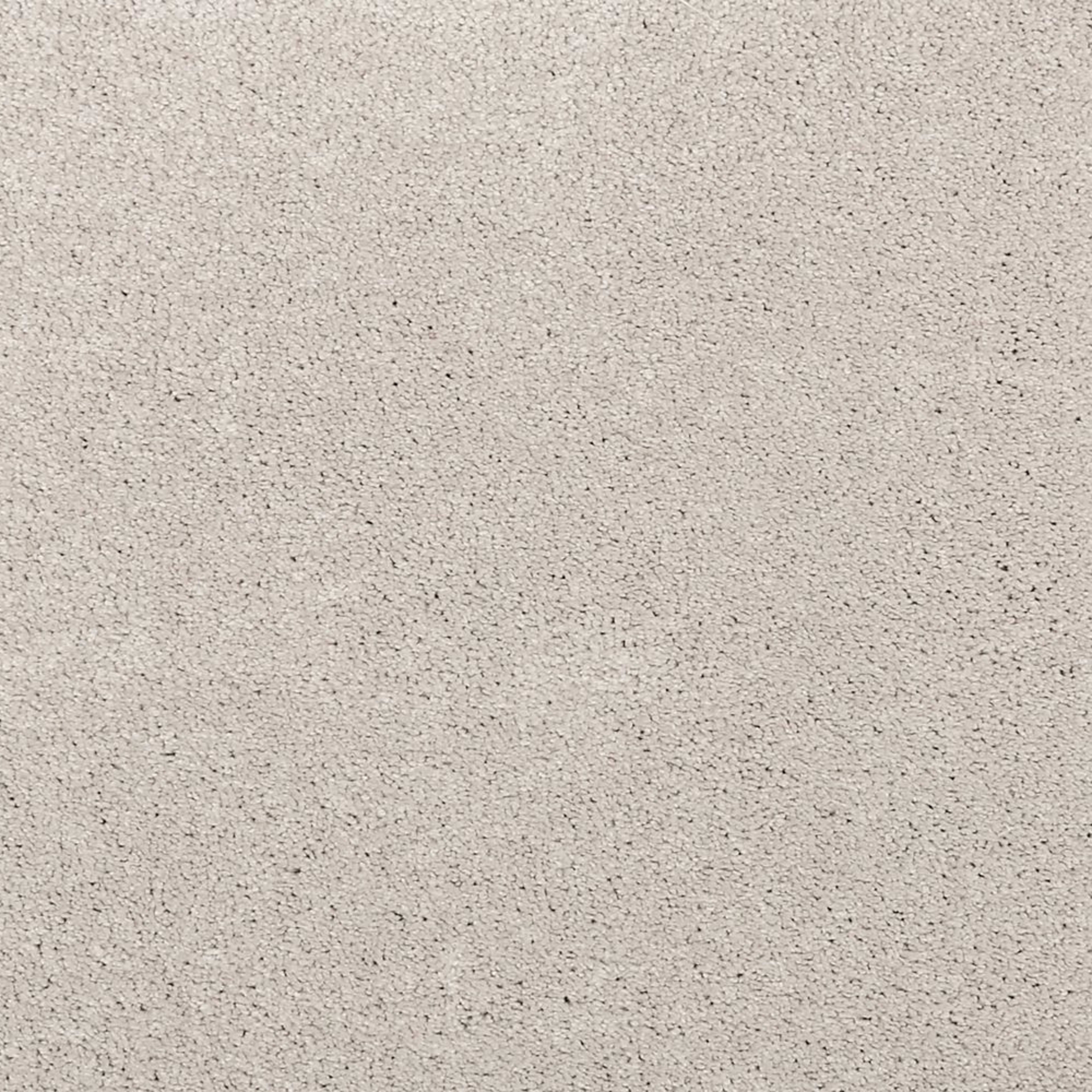 Noble Surface in Haze Carpet