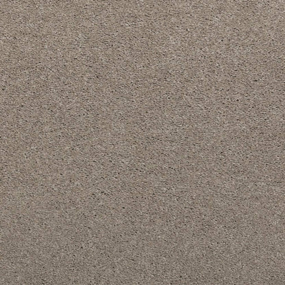 Noble Surface