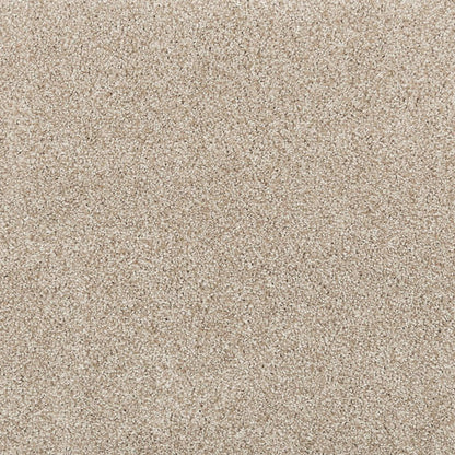 Noble Surface