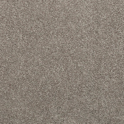 Noble Surface