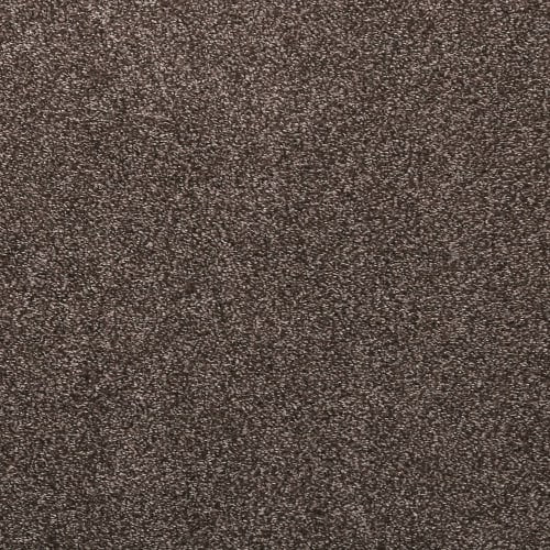 Noble Surface in Lite Espresso
