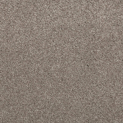 Noble Surface