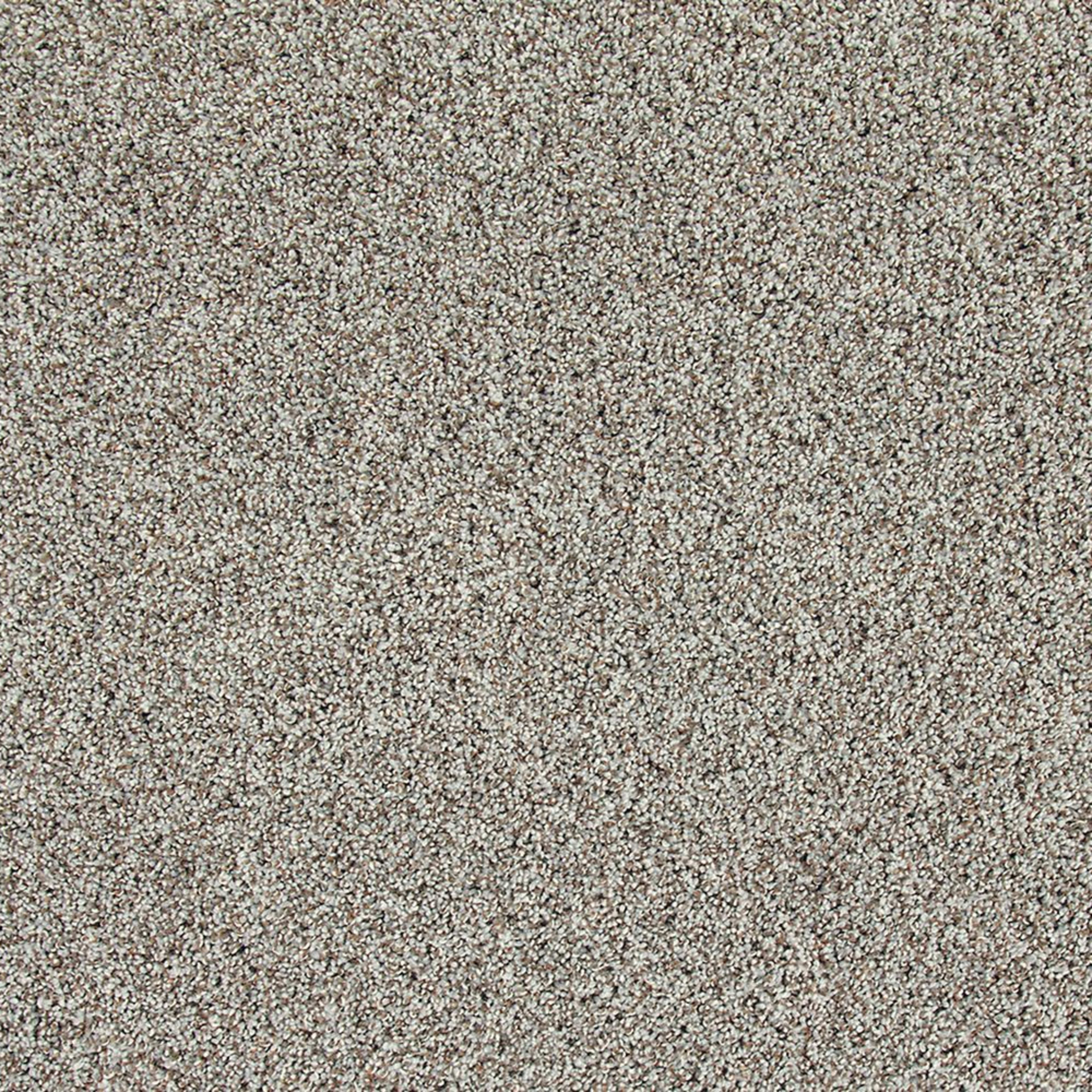 Soft Description II in Frozen Tundra Carpet