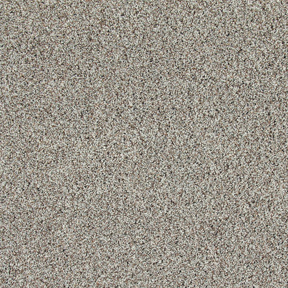 Soft Description II in Frozen Tundra Carpet