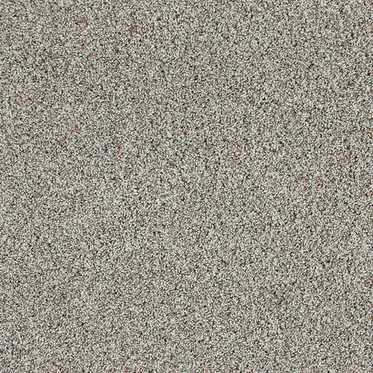 Soft Description II in Frozen Tundra Carpet