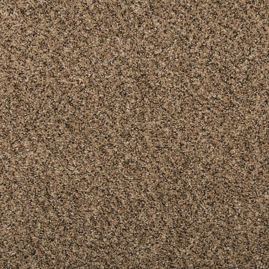 Remodeled I in Pretzel Twist Carpet