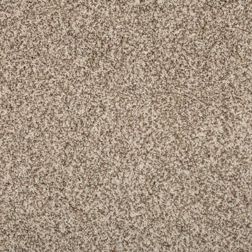 Remodeled I in Elk Beige