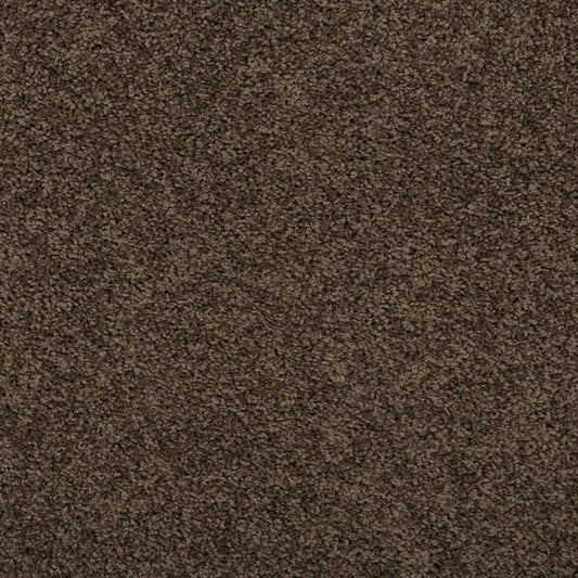 Remodeled II in Husk Carpet
