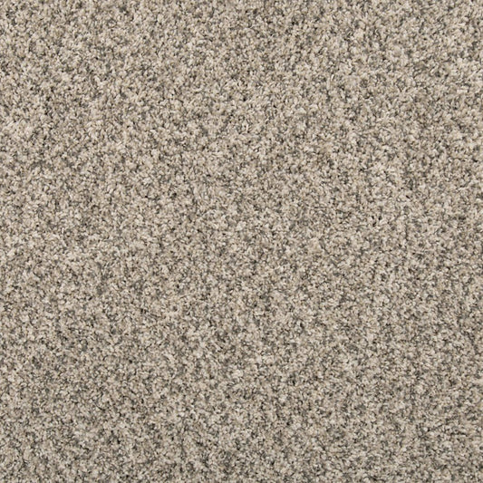 Remodeled III in Silver Dollar Carpet