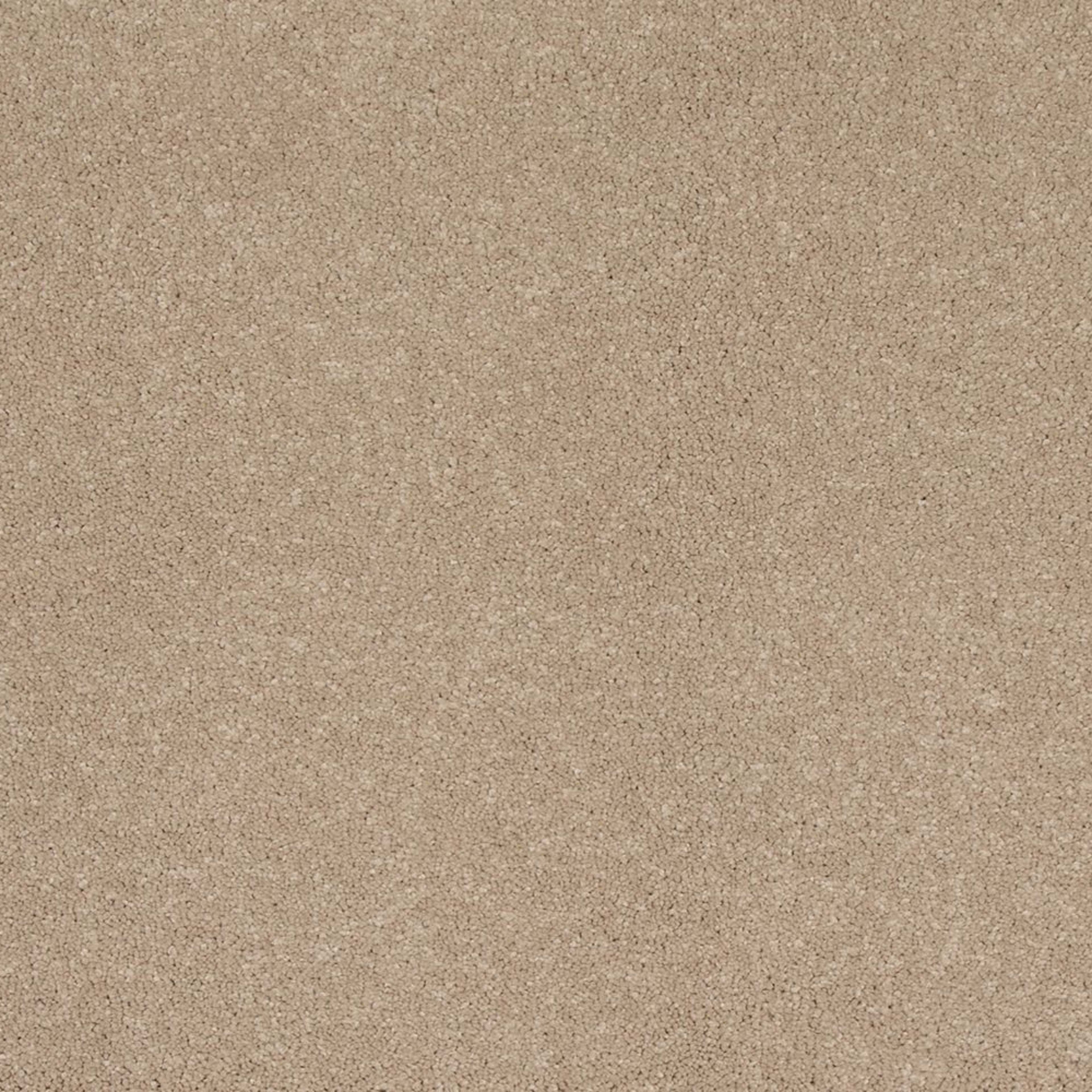 Timeless Saga I in Sandy Shores Carpet