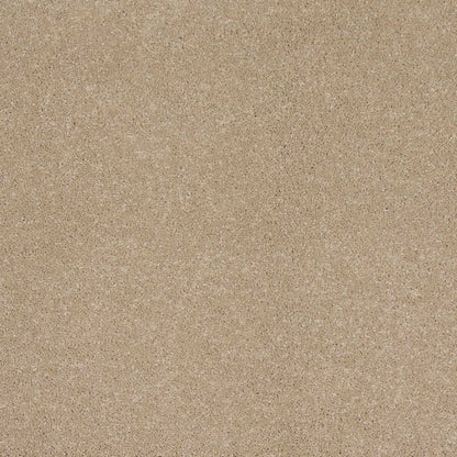 Timeless Saga I in Sandy Shores Carpet