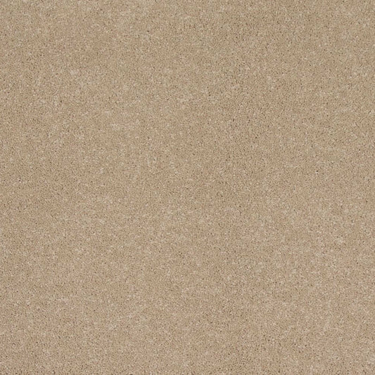 Timeless Saga I in Sandy Shores Carpet