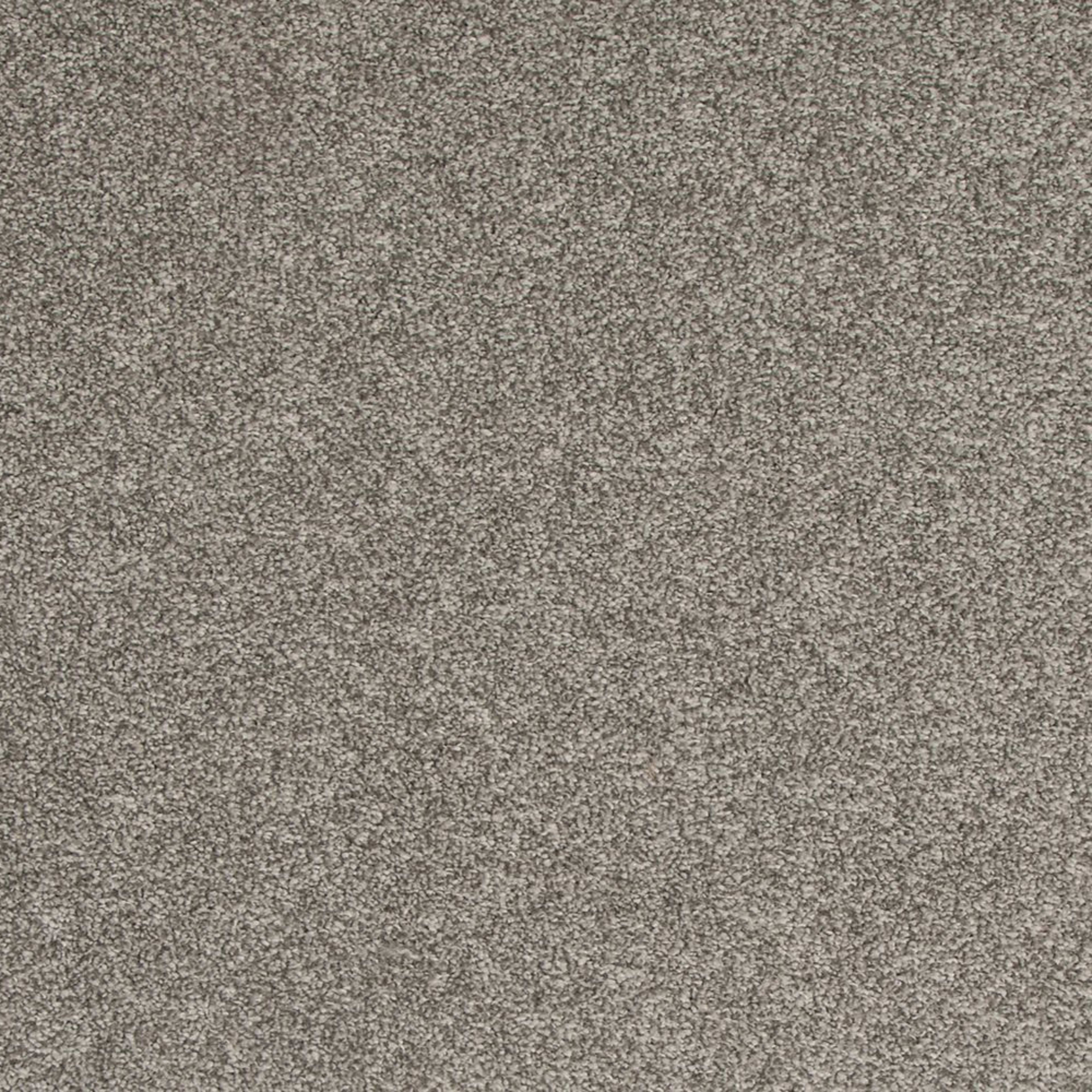 Timeless Saga II in Ashen Mistral Carpet