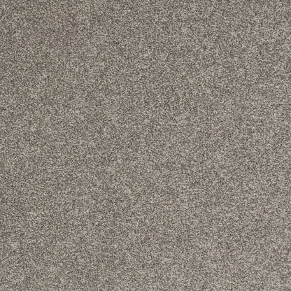 Timeless Saga II in Ashen Mistral Carpet