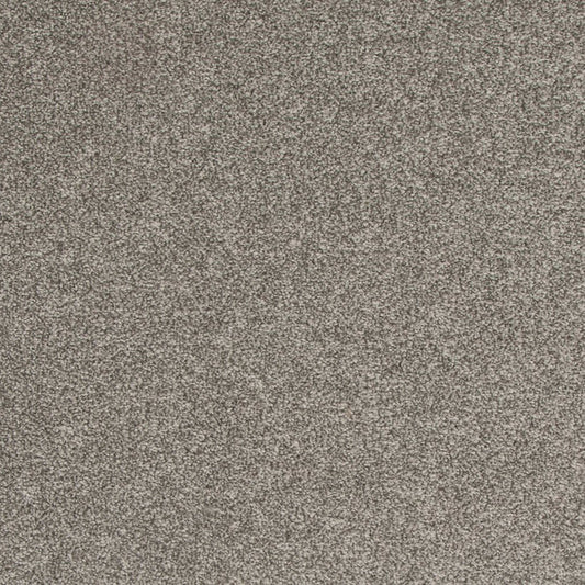 Timeless Saga II in Ashen Mistral Carpet