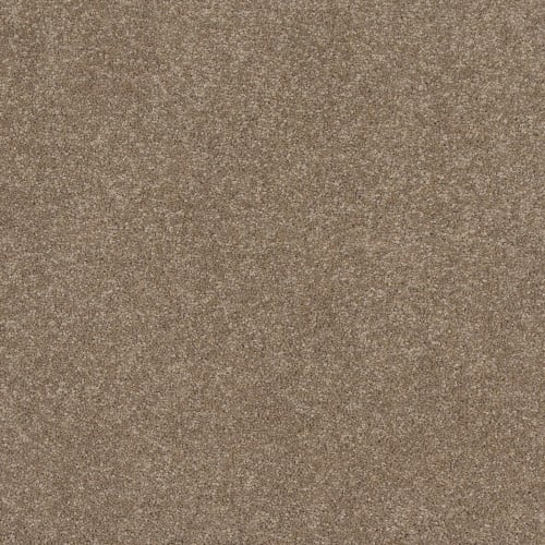 Timeless Saga III in Camel Stone