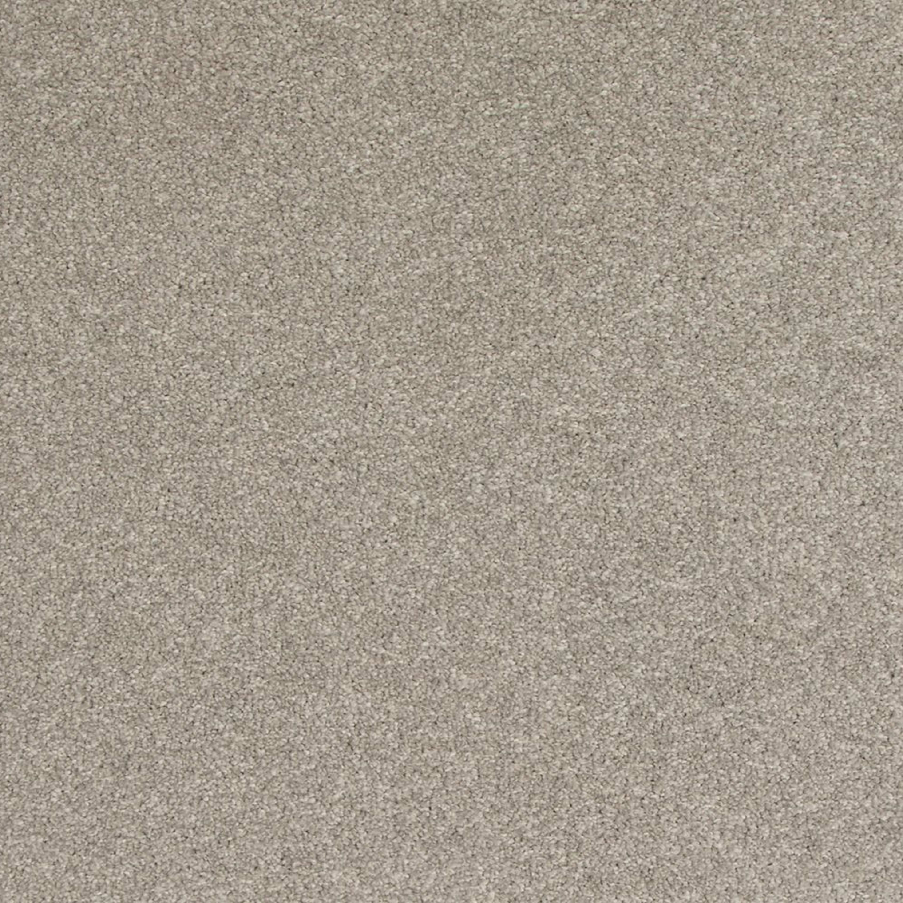 Timeless Saga III in Gentle Fog Carpet