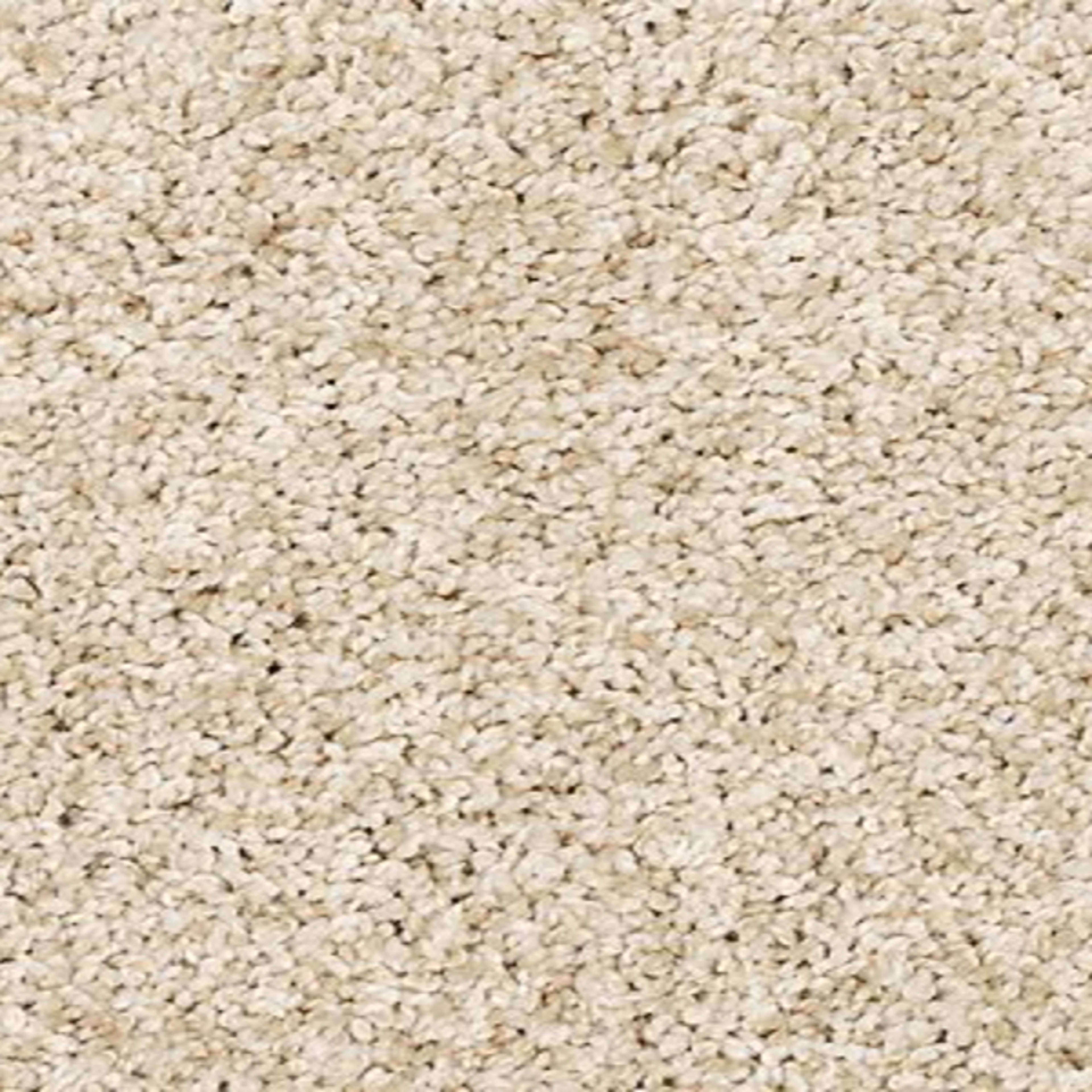 Furocious I in Coconut Carpet