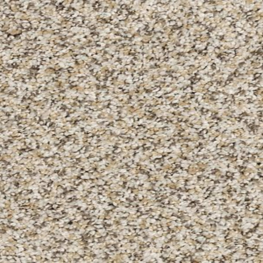 Bon A Pet Treat I in Fawn Carpet