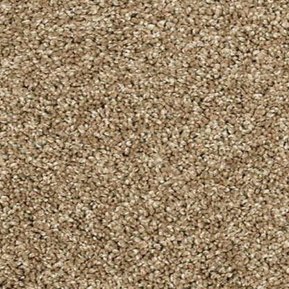 Bon A Pet Treat II in Parchment Carpet
