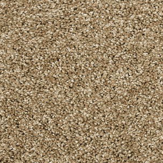 Bon A Pet Treat II in Parchment Carpet