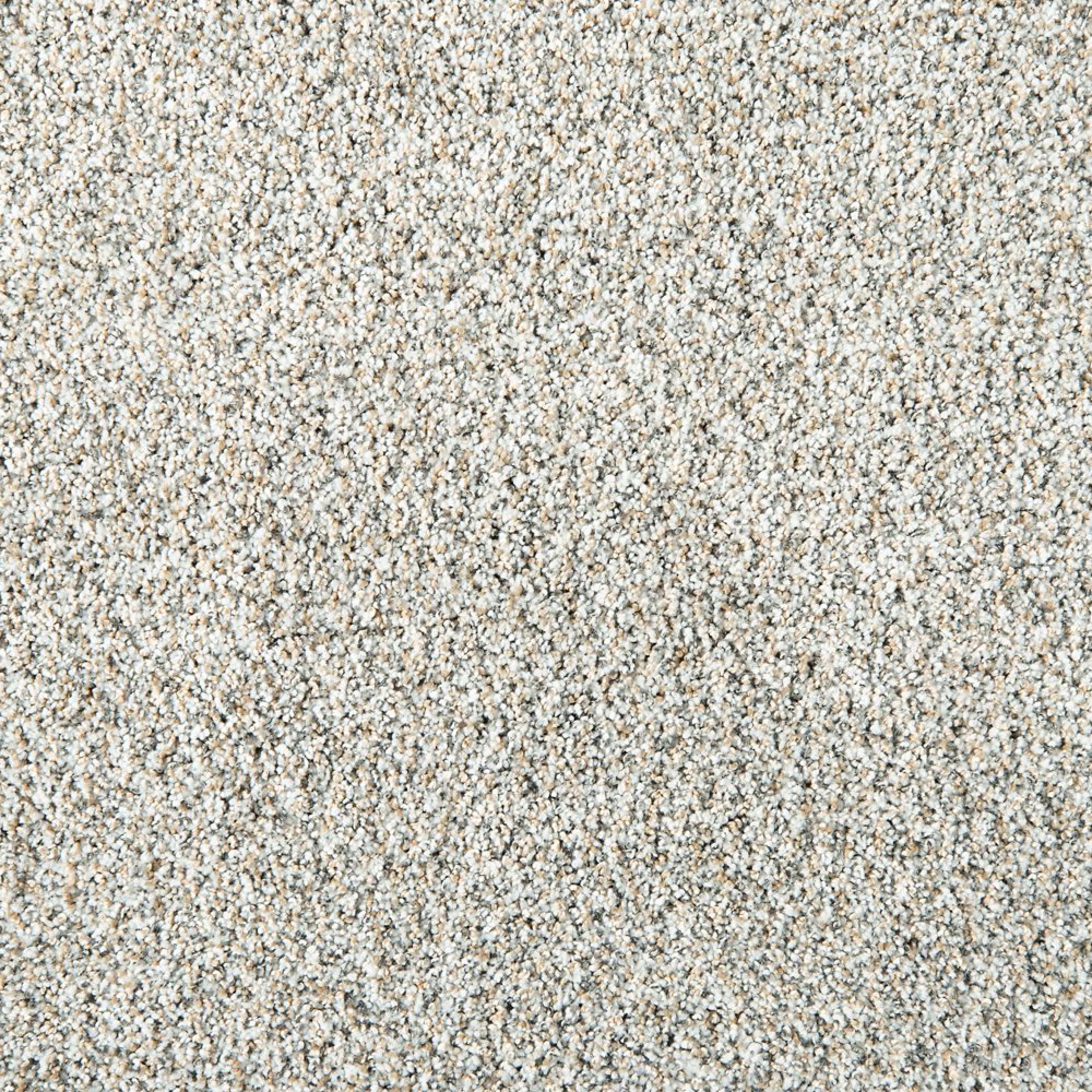 Leon in San Michele Carpet