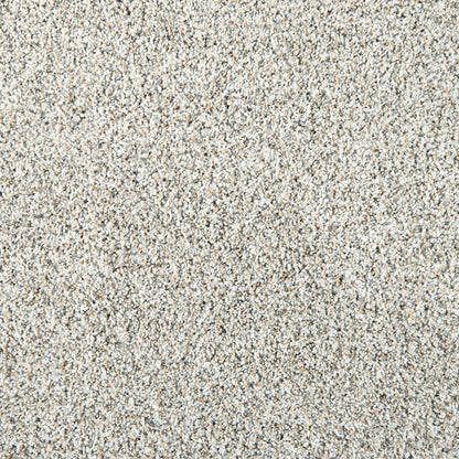Leon in San Michele Carpet