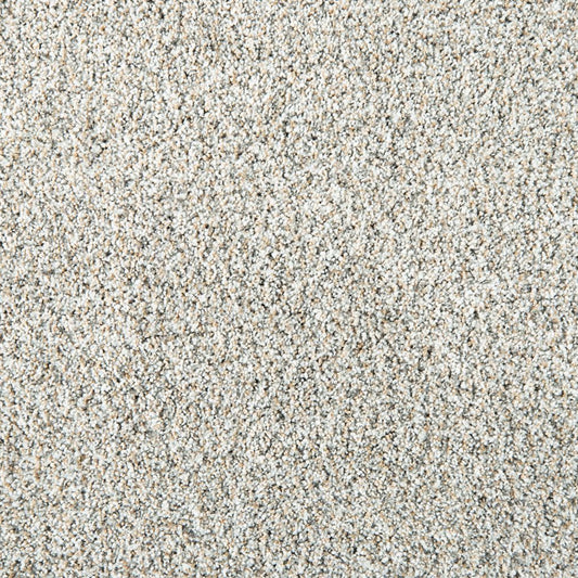 Leon in San Michele Carpet