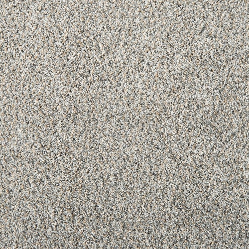 Leon in Pascal