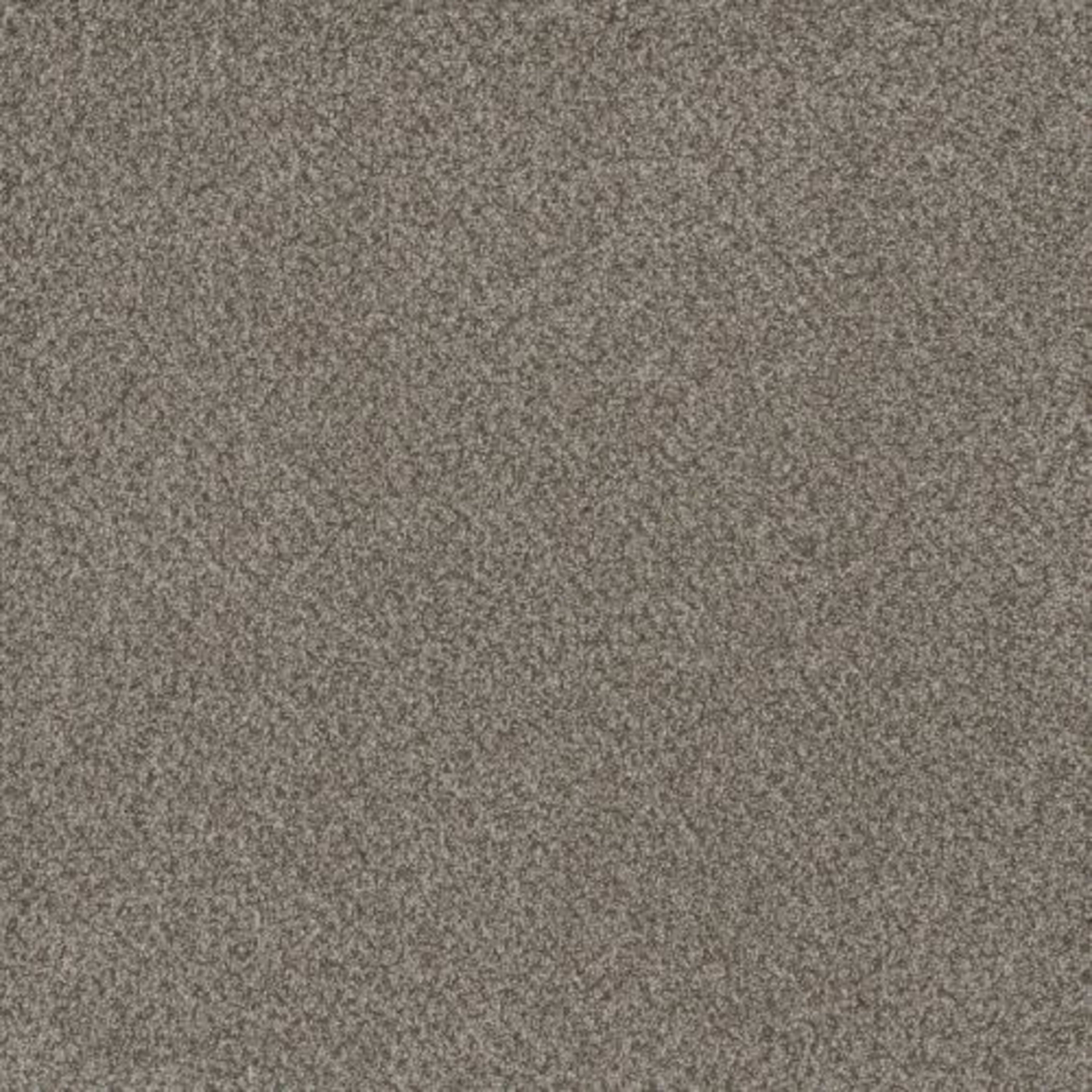 TITAN I in Oakland Carpet