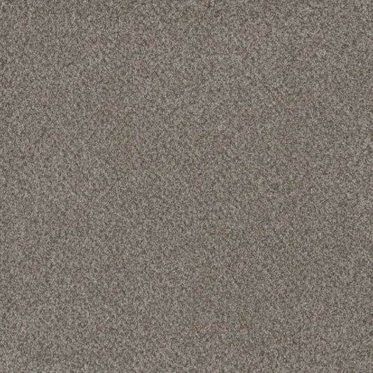 TITAN I in Oakland Carpet