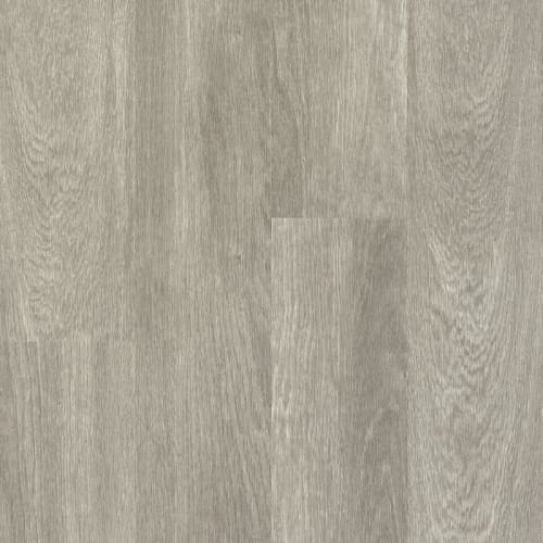 American Personality Pro Pembroke Oak in Silver Surf 6.5" X 48"