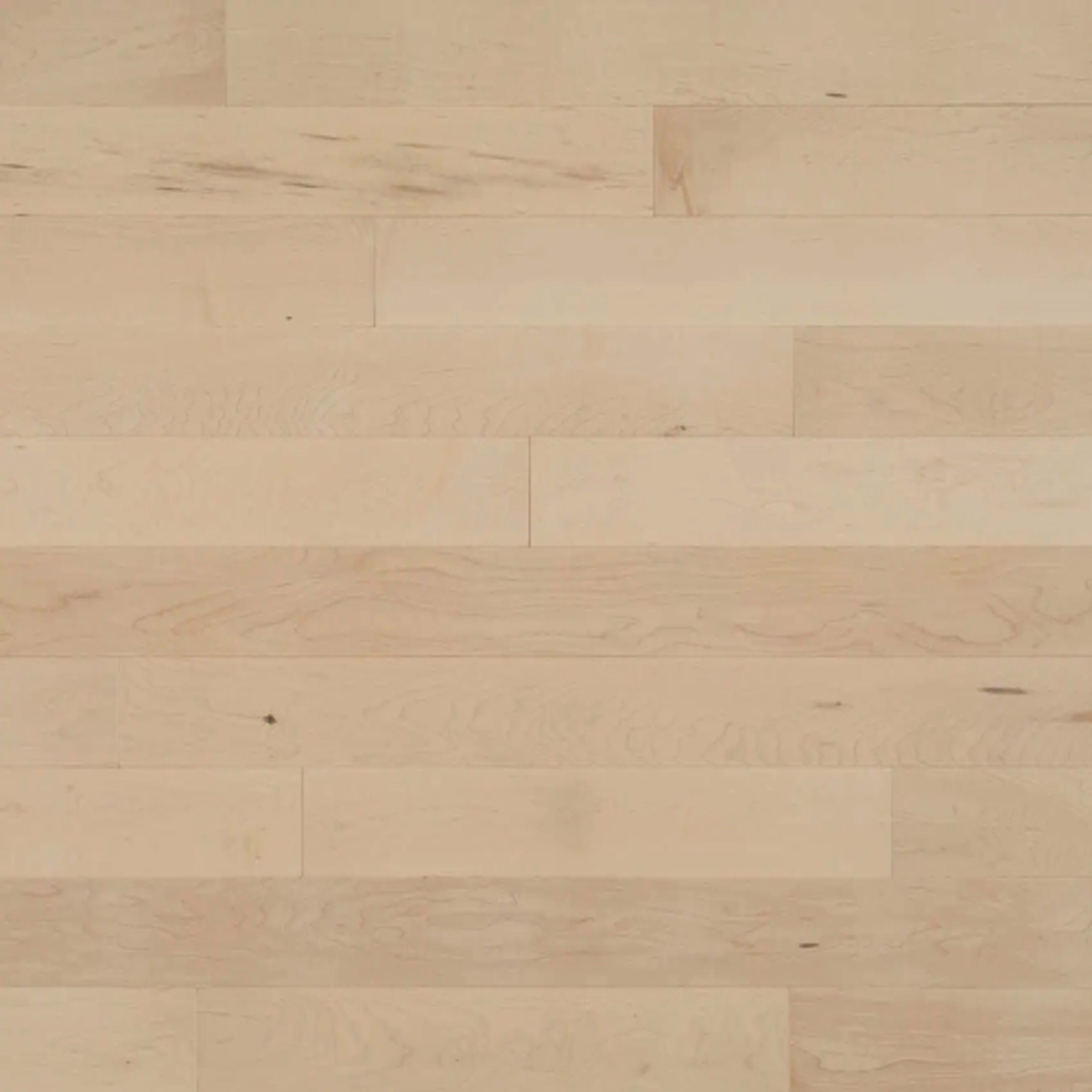 Pure Hard Maple - Solid in Boreal Hardwood