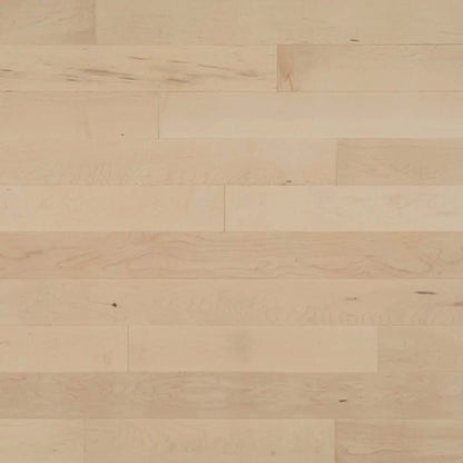 Pure Hard Maple - Solid in Boreal Hardwood
