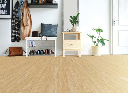 Pro Solutions IV in Camel