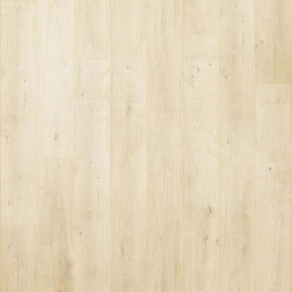 Preferred LeGrand in Palisade Laminate