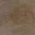 ProSeries - Pines Terrace - 8 mil in Cinnamon Luxury Vinyl
