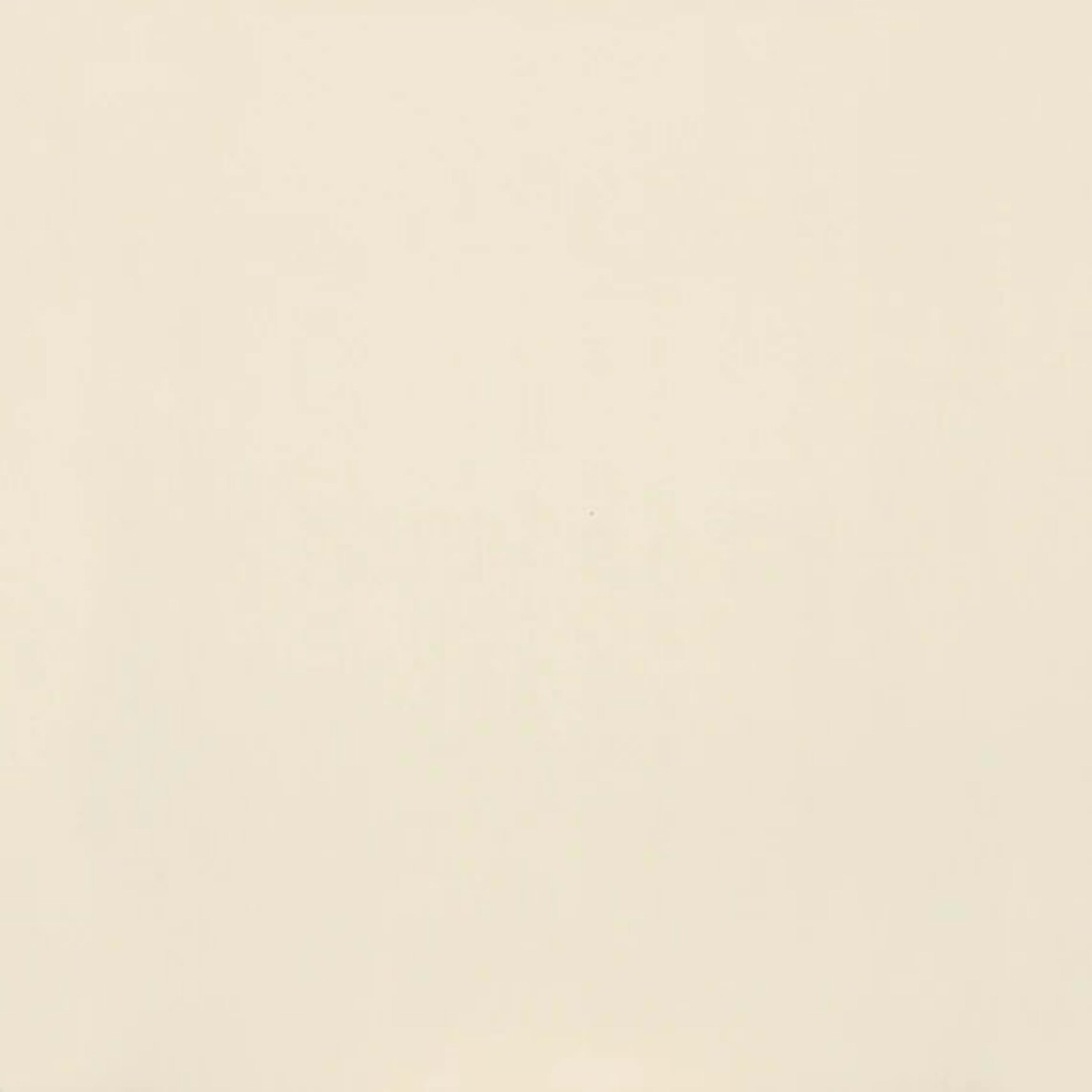Clay Canvas in Paint-12x24-Matte Tile
