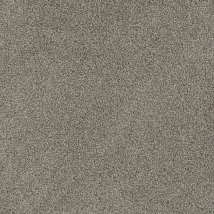 MILL CREEK I in Palmdale Carpet