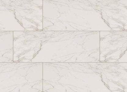 Pietra in Carrara - 12x24 Polished