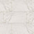 Pietra in Carrara - 12x24 Polished Tile