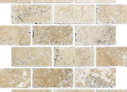Travertine in Picasso Tumbled 2x4-Brick