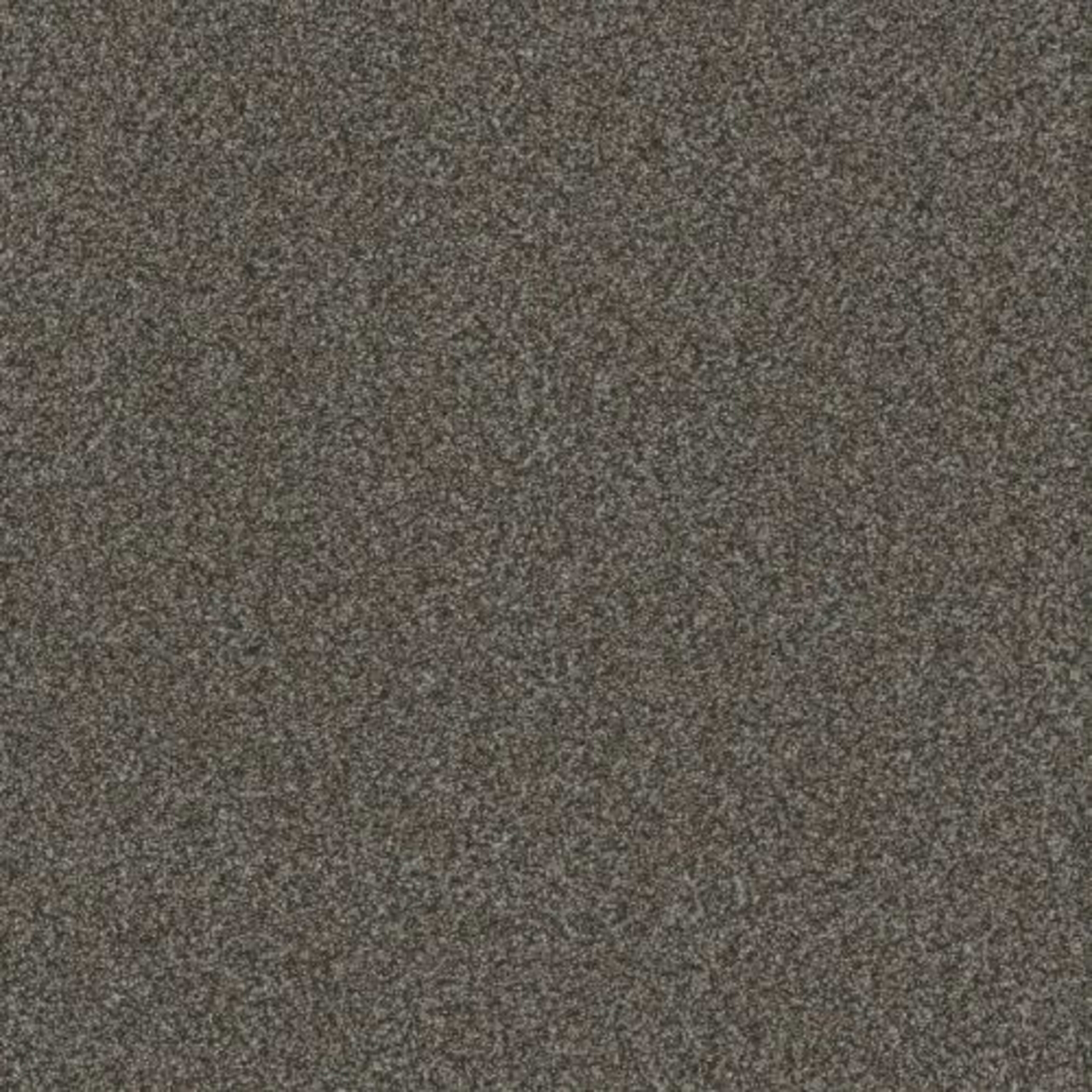 TITAN III in Pinehurst Carpet