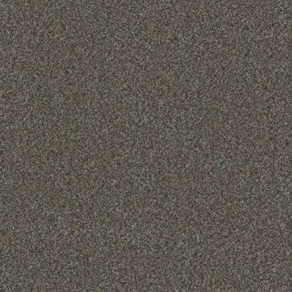TITAN III in Pinehurst Carpet