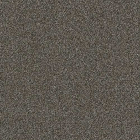 TITAN III in Pinehurst Carpet