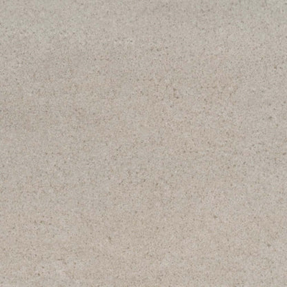 Porto II in Fawn 12" X 24" Polished Tile