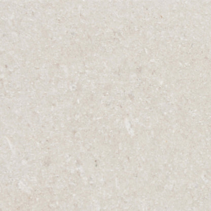 Limestone in Presidio Ivory 12"x24" Natural Stone
