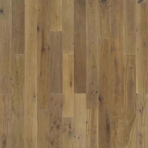 Novella in Twain Oak